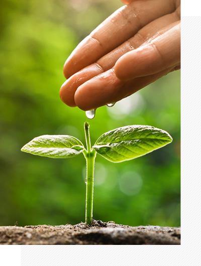 Environmental Care